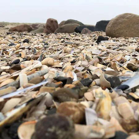 4 Person In Semesterbostad Blåvand