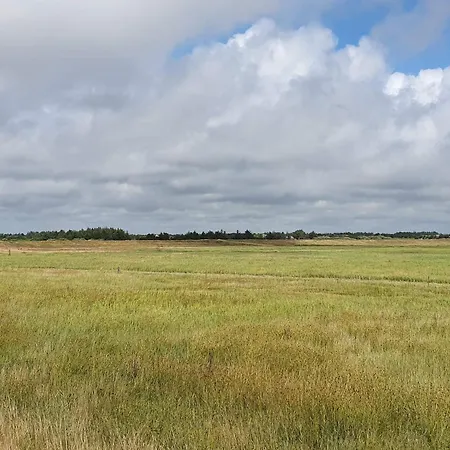 Semesterbostad 4 Person In Blåvand