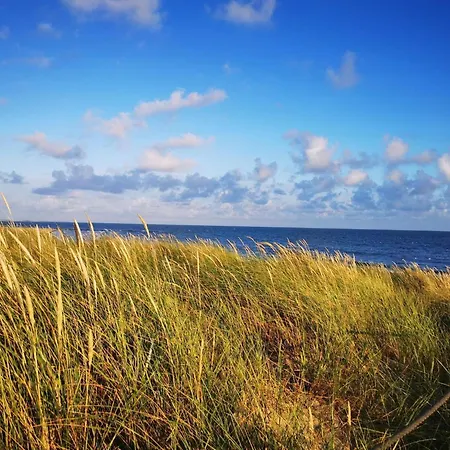 4 Person In * בלבאנד