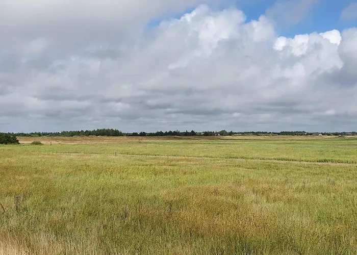 Casa vacanze 4 Person In Blåvand