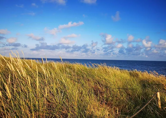 4 Person In * Blåvand