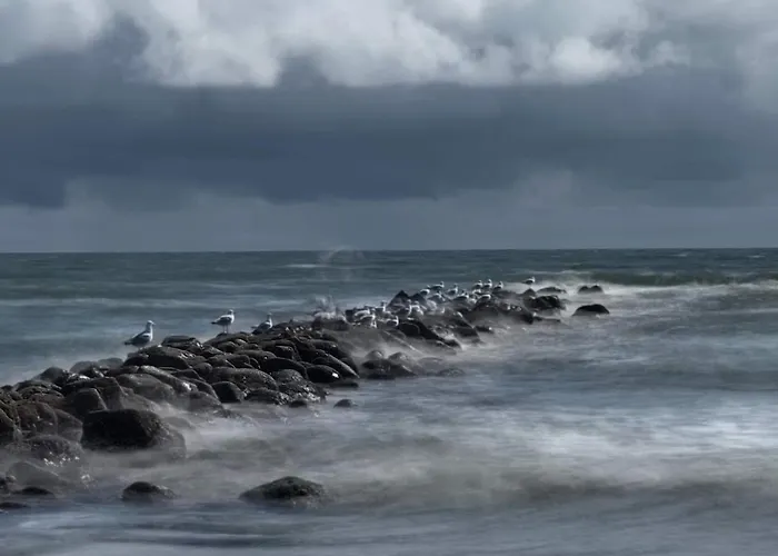 度假居 4 Person In 布拉万德